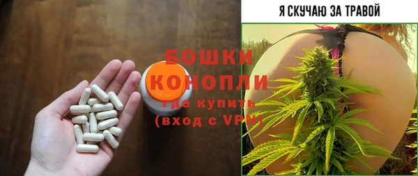 шишки Балабаново