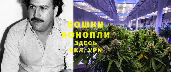 шишки Балабаново