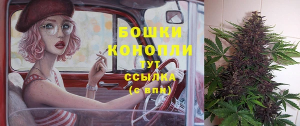 шишки Балабаново