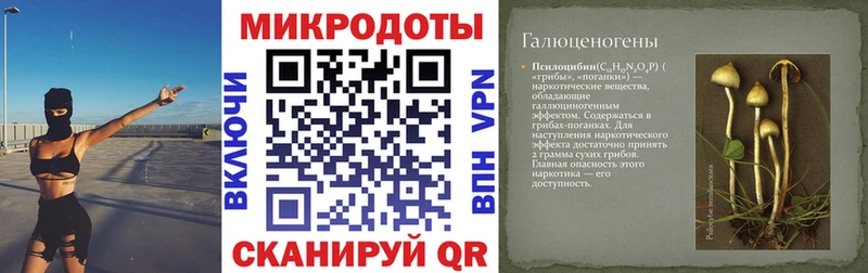 даркнет сайт  Куртамыш  Псилоцибиновые грибы мухоморы 